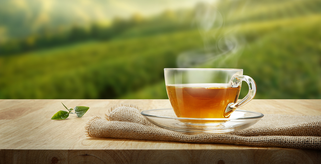 how much green tea to lose weight